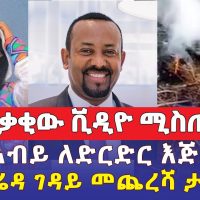 Ethiopia: Addis Media Daily News March 2022 | ዶ/ር አብይ ለድርድር እጅ ሰጡ | የአሰቃቂው ቪዲዮ ሚስጢር | የጽጌሬዳ ገዳይ መጨረሻ