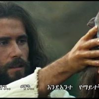 New Ethiopian Orthodox Mezmur : Ethio Man | Amesegnalew (አመሰግናለው) 2022
