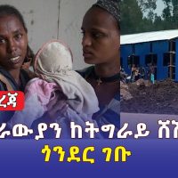 [ሰበር መረጃ] ኤርትራውያን ከትግራይ ሸሽተው ጎንደር ገቡ | Ethiopia News | April 18, 2022