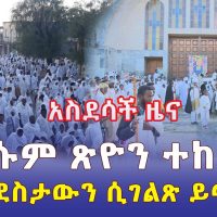 አስደሳች ዜና ከአክሱም | ጽዮን ማርያም በድምቀት ተከበረ | ህዝቡ ደስታውን ሲገልጽ ይመልከቱ | Addis Daily አዲስ ደይሊ | Ethiopia