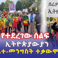 [ከአሜሪካ] ኢትዮጵያውያን በጆ ባይደን ፊት ተቃውሞ አሰሙ | Ethiopians Rally | Washington DC | October 2022 - Addis Daily