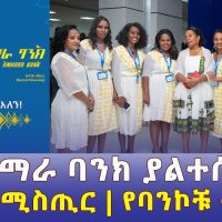 የአማራ ባንክ ከባድ ተጽዕኖ | Amhara Bank Impacts on the Ethiopian Banking sector | Addis Media