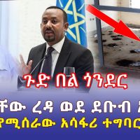 Addis Daily አዲስ ደይሊ - [ጉድ በል ጎንደር] በጎንደር የሚሰራው አሳፋሪ ተግባር ተጋለጠ | እነጌታቸው ረዳ ወደ ደቡብ አፍሪካ | Ethiopia