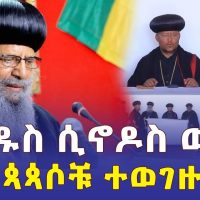 Ethiopia: [ሰበር ዜና] ቅዱስ ሲኖዶስ ውሳኔ አስተላለፈ | "ተወግዘዋል" - Addis Daily News