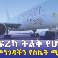 Ethiopian Airlines - Africa's leading airlines success story | የኢትዮጵያ አየር መንገድ ስኬት