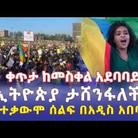 Ethiopians Meskel Square Rally  የተቃውሞ ሰልፍ ከመስቀል አደባባይ