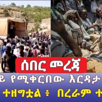 ለትግራይ የሚቀርበው እርዳታ  ተቋረጠ | Food aid interrupted due to the new conflict in Ethiopia -  Addis Daily