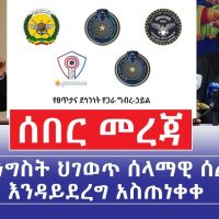 Ethiopia: [ሰበር መረጃ] መንግስት ህገወጥ ሰላማዊ ሰልፍ እንዳይደረግ አስጠነቀቀ - Addis Daily አዲስ ደይሊ