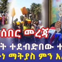 Ethiopia: [ሰበር መረጃ] በጥይት ተደብድበው ተገደሉ | አቡነ ማትያስ ምን አሉ? - Addis Daily አዲስ ደይሊ