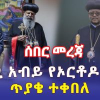 Ethiopia: [ሰበር መረጃ] ጠ/ሚ አብይ የኦርቶዶክስን ጥያቄ ተቀበለ - Addis Daily አዲስ ደይሊ