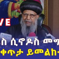 Ethiopia: የቅዱስ ሲኖዶስ መግለጫ በቀጥታ ይመልከቱ  | LIVE