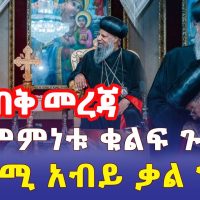 Ethiopia: [ጥብቅ መረጃ] የስምምነቱ ቁልፍ ጉዳይ ምንድነው? | ጠ/ሚ አብይ ቃል ገብተዋል - Addis Daily አዲስ ደይሊ