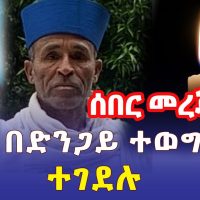 Ethiopia: በአዲስ አበባ ካህኑ በድንጋይ ተወግረው ተገደሉ - Addis Daily