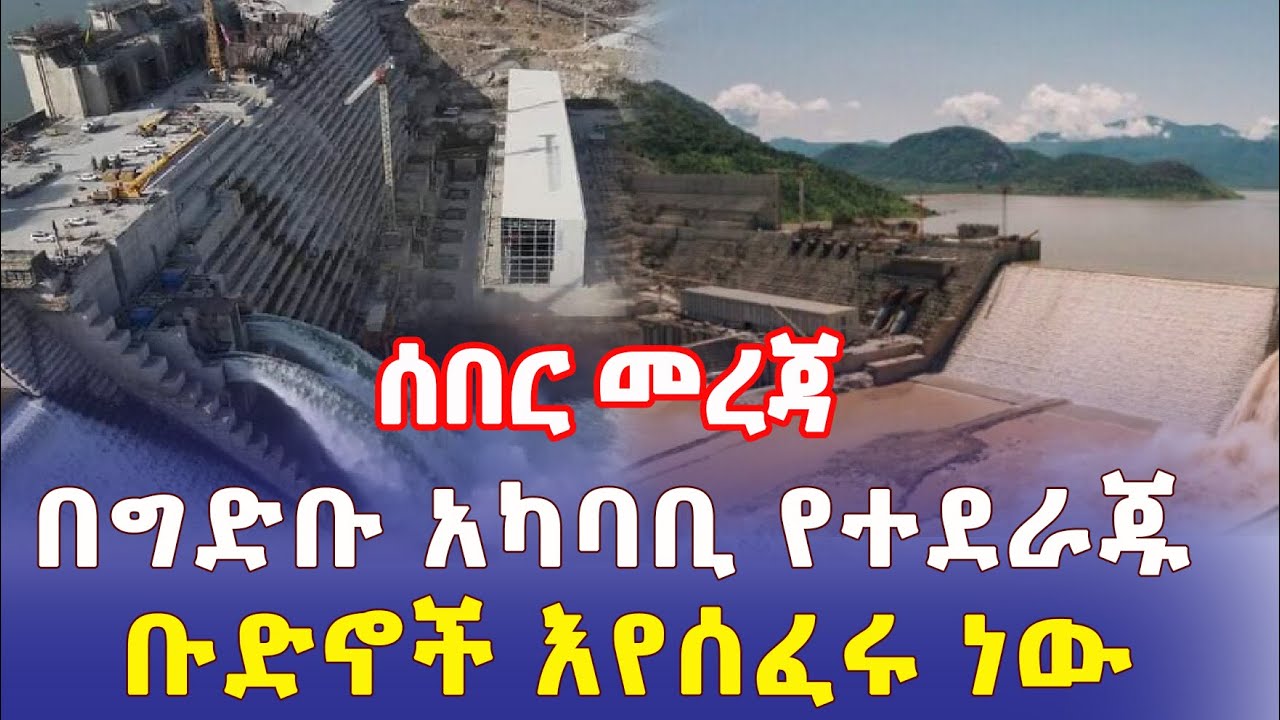 Ethiopia: [ሰበር መረጃ] በግድቡ አካባቢ የተደራጁ ቡድኖች መስፈራቸው ተነገረ - Addis Daily