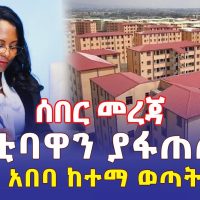 Ethiopia: [ሰበር መረጃ] ከንቲባዋን ያፋጠጠው የአ/አ ከተማ ወጣት ጥያቄ - Addis Daily