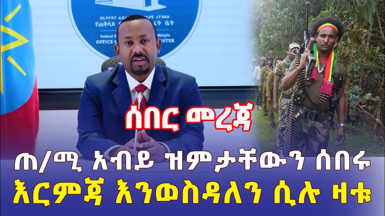 Ethiopia: [ሰበር መረጃ] ጠ/ሚ አብይ ስለ ልዩ ሀይል ዝምታቸውን ሰበሩ | እርምጃ እንወስዳለን ሲሉ ዛቱ - Addis Daily