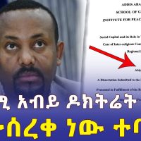 Ethiopia: የጠ/ሚ አብይ ዶክትሬት ዲግሪ ጥናት የተሰረቀ ነው ተባለ - Addis Daily