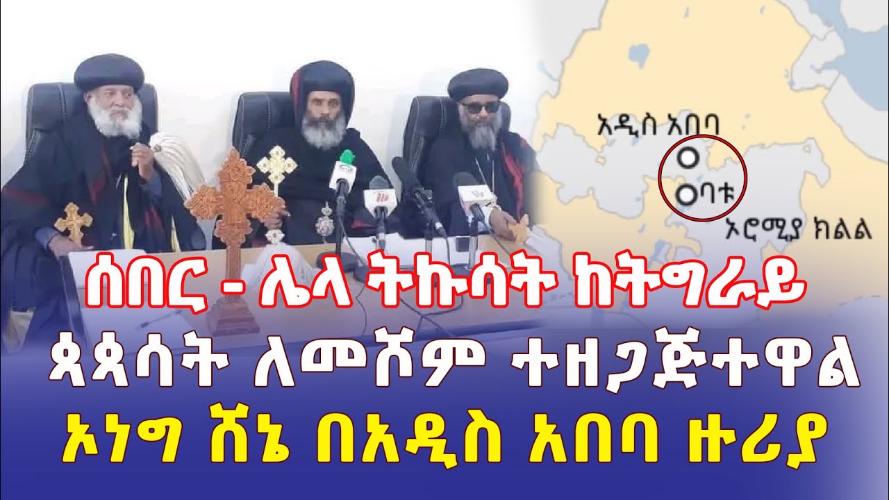 Ethiopia: [ሰበር መረጃ] ሌላ ትኩሳት ከትግራይ | ጳጳሳት ለመሾም ተዘጋጅተዋል - Addis Daily