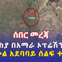 Ethiopia: [ሰበር መረጃ] መከላከያ በአማራ ክልል ኦፕሬሽን ጀመረ | የመስቀል አደባባይ ሰልፍ ተከለከለ - Addis Daily